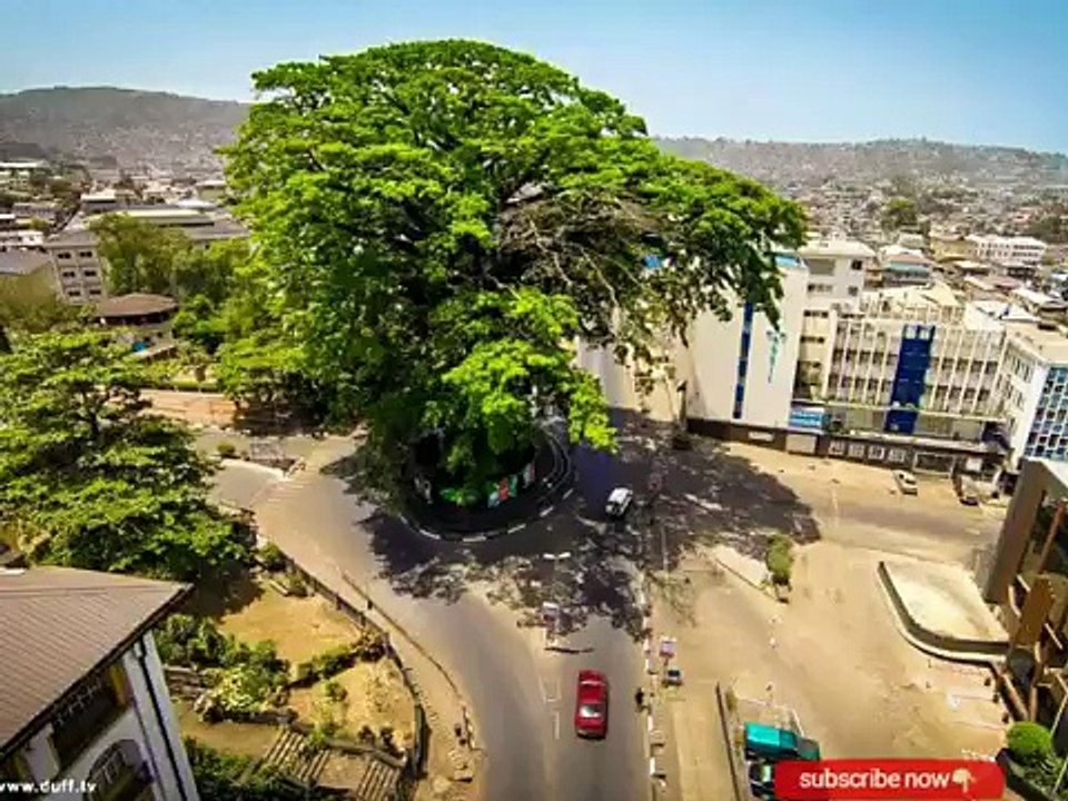 Sierra Leone music -( festival songs 2016)