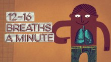 How spontaneous brain activity keeps you alive - Nathan S. Jacobs