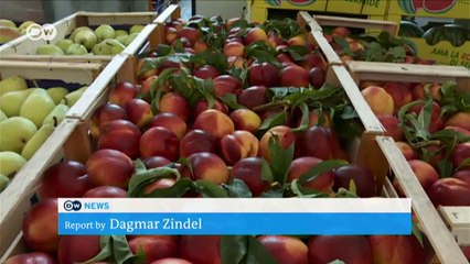 Berlin's sustainable dried fruit | Business