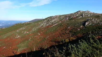 Vistas da ría de Muros-Noia