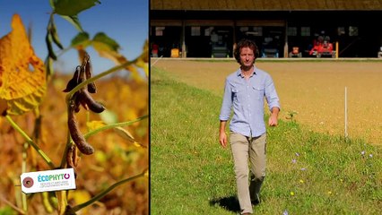 Réduction des herbicides : "Chercheurs et agriculteurs sont complémentaires"