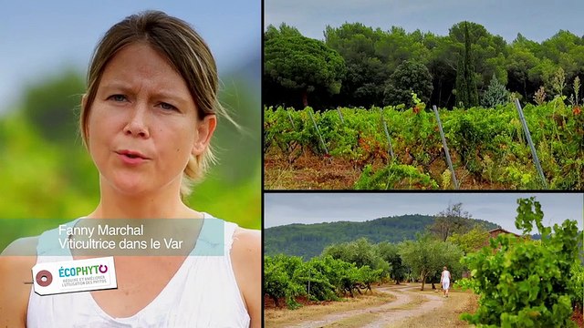 Créer du lien entre agriculteurs avec les fermes DEPHY
