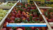 Start-up macht Fruchtpapier aus Obst für den Müll | Wirtschaft