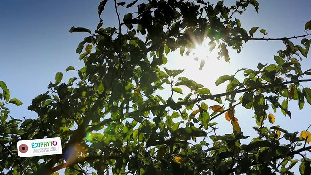 Application du plan Ecophyto au lycée agricole de la Saussaye