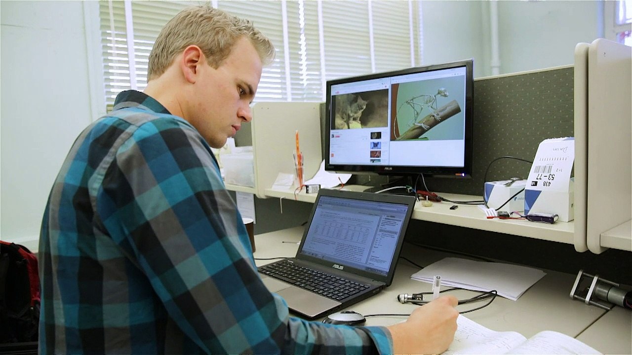 Sprungwunder 'Salto' soll künftig bei Erdbeben helfen