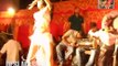 Sexy Bar Girl Arkestra Dance in Bhojpuri Stage Show