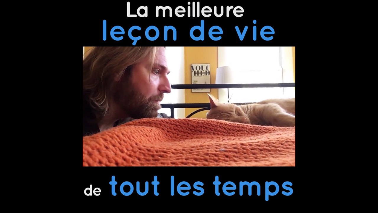 Un gars fait la morale à son chat !