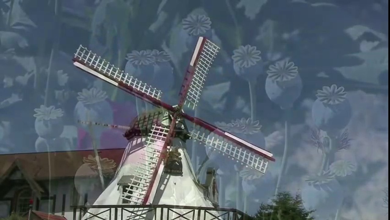 AMAPOLA  - Mantovani and his Orchestra