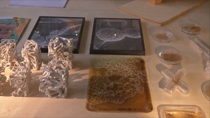 هذا الصباح- مباني المستقبل تزرع أساساتها بالأرض ذاتيا