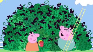 Peppa Pig Mummy Pig in the blackberry bush (clip)