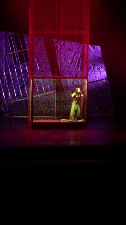 extrait procès (hiba Tawaji)