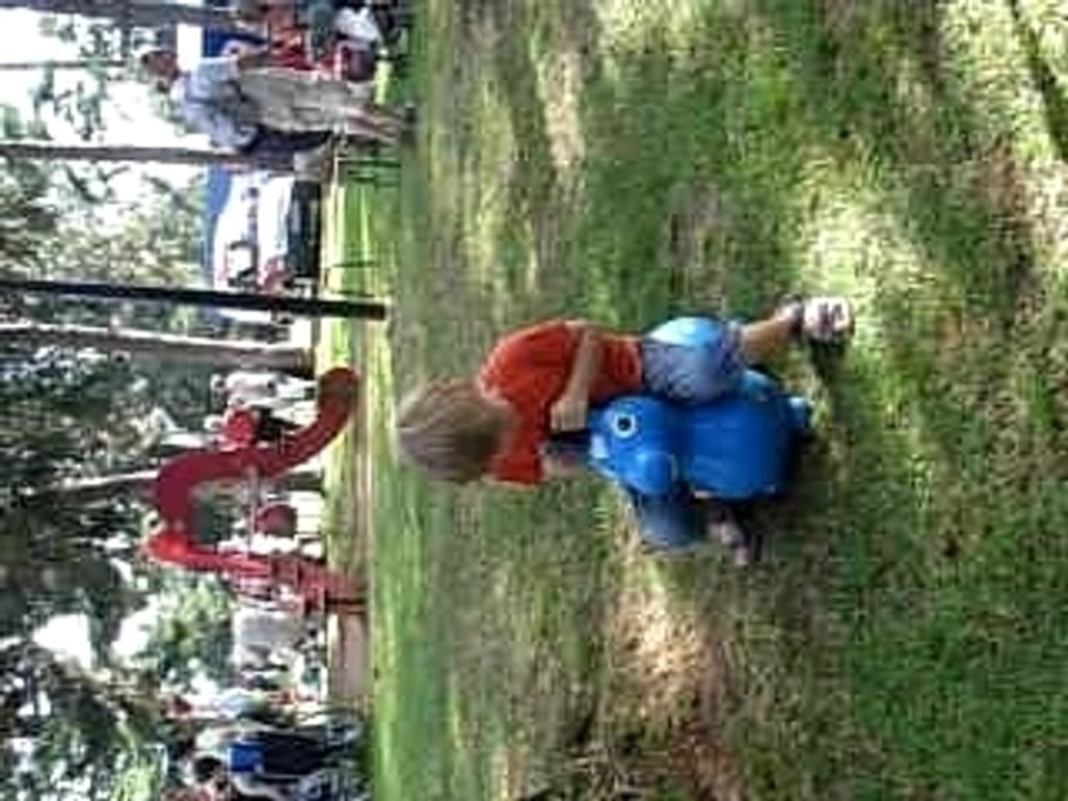 fête de la rose -fan de ségo ^^