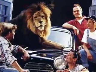 Untamed and Uncut  Lion Attacks Owner