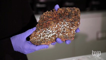 Take a tour of the meteorite vaults