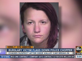 Burglar caught after victim flags down police chopper