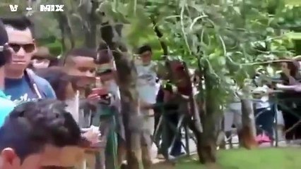 Animals Attack People - Best Attack Animals Compilation
