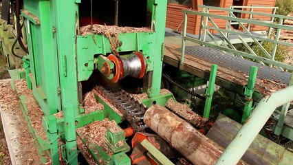 Scierie Allier 03 : Scierie Mondière