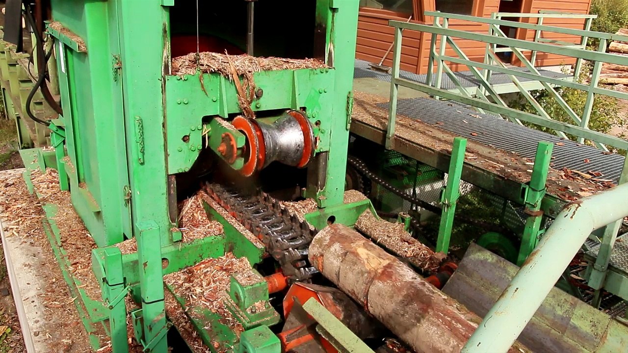 Scierie Allier 03 : Scierie Mondière