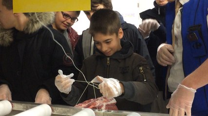 Les coulisses de Carrefour