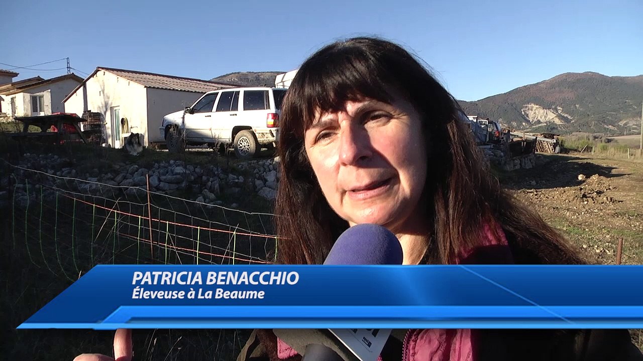 D!CI TV : Hautes-Alpes : "j'ai un triple filet électrique et j'arrive encore à me faire attaquer"