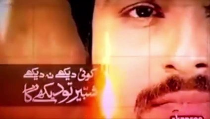 Pakistan and Hot Barking media | Traitor Media