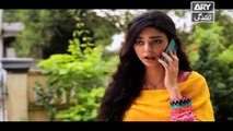 Haal-e-Dil Ep 54 - on Ary Zindagi in High Quality 7th December 2016