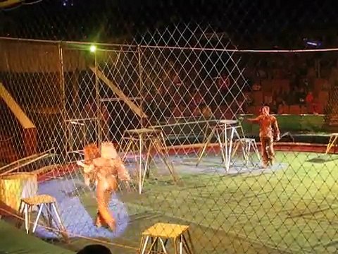Horrible incident Lviv Circus ( Жесть ) Трагедия во Львовском цирке