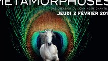 Métamorphoses - Spectacle Inédit à Bordeaux