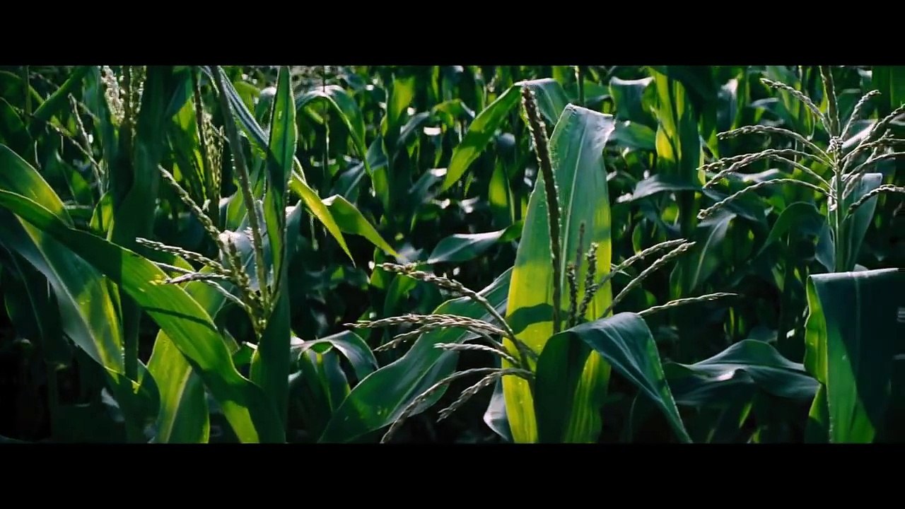 "Interstellar"de Christopher Nolan