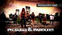 Shooting a Show with Dogs, Louder than You Think   Pit Bulls and Parolees