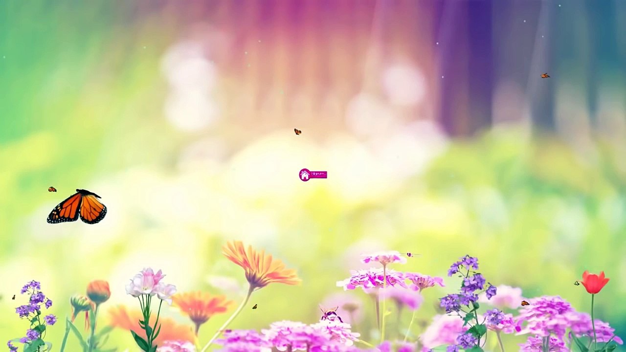 Tunus İşi İki Renk İp Örgü Modeli Yapılışı Videolu Anlatım