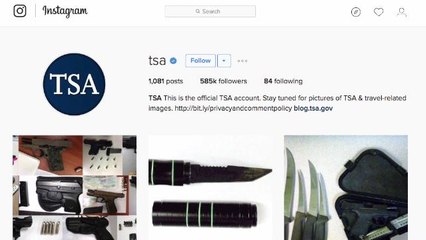 TSA's Instagram Account Gets the Recognition It Deserves