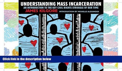 FAVORIT BOOK Understanding Mass Incarceration: A People s Guide to the Key Civil Rights Struggle