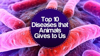 Top 10 Human Diseases from Animals