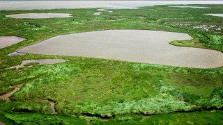 Le sentier du littoral du Cotentin - La Hague !