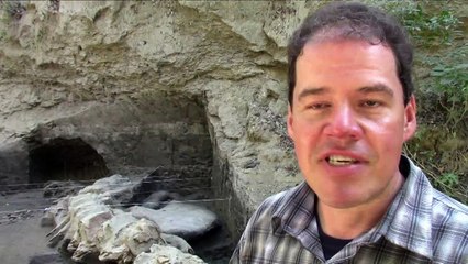 Fóssil de baleia de 1,8 milhões de anos encontrado no México