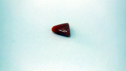 B4 N Red Coral Moonga 3.31 Carat | +91-9769207984