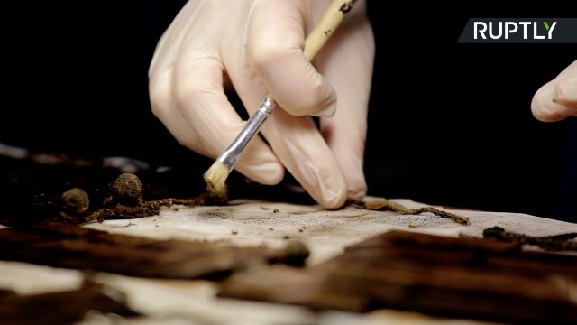 Coins Belonging to French King Louis XIV Discovered in Siberian