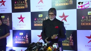 Amitabh Bachchan Receives Star Screen Awards 2017 For Best Actor Pink