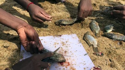 Street Food Around The World - Amazing Kid Catching Fish With His Bare Hands - Cooking Fresh Fish Fries