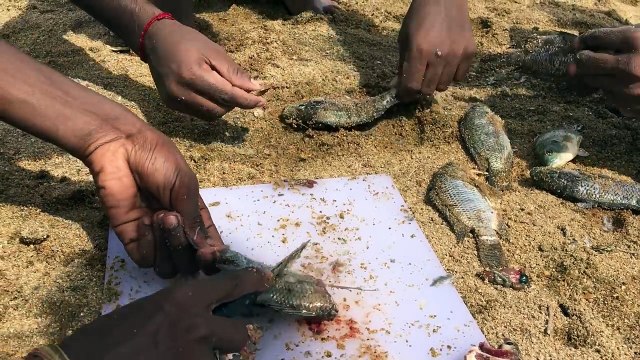 Street Food Around The World - Amazing Kid Catching Fish With His Bare Hands - Cooking Fresh Fish Fries