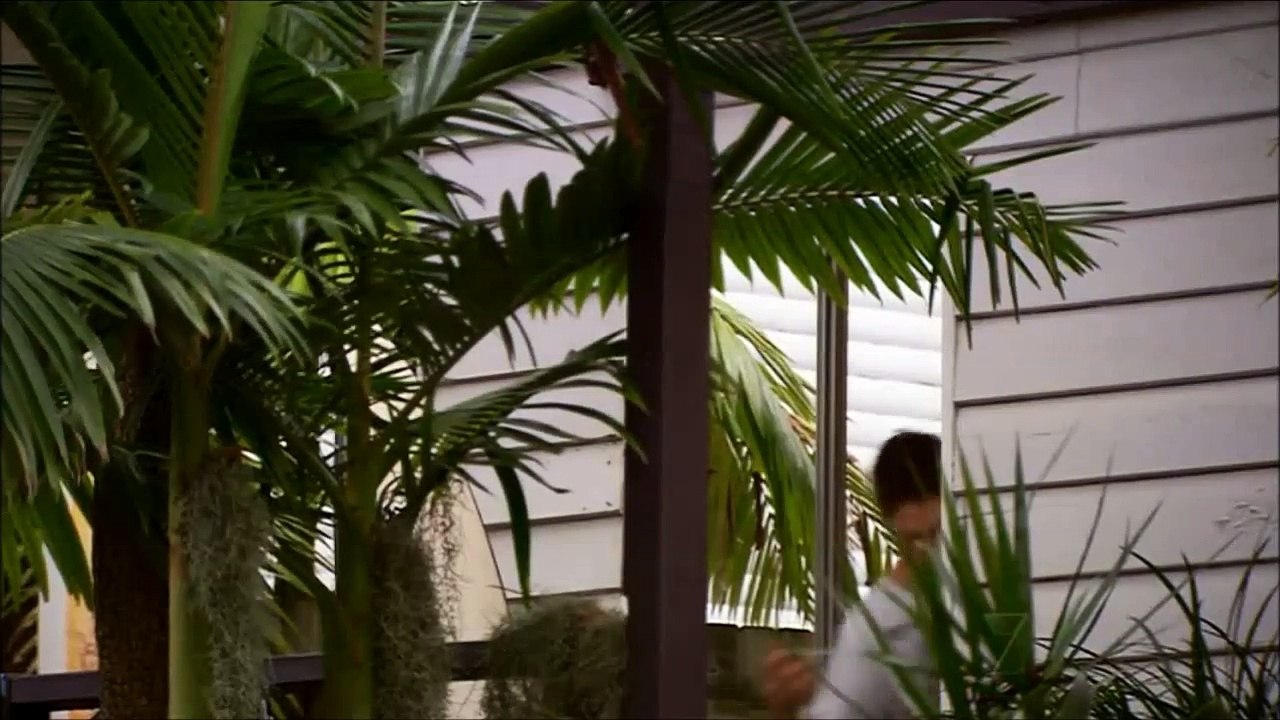 Brax Has a Plan