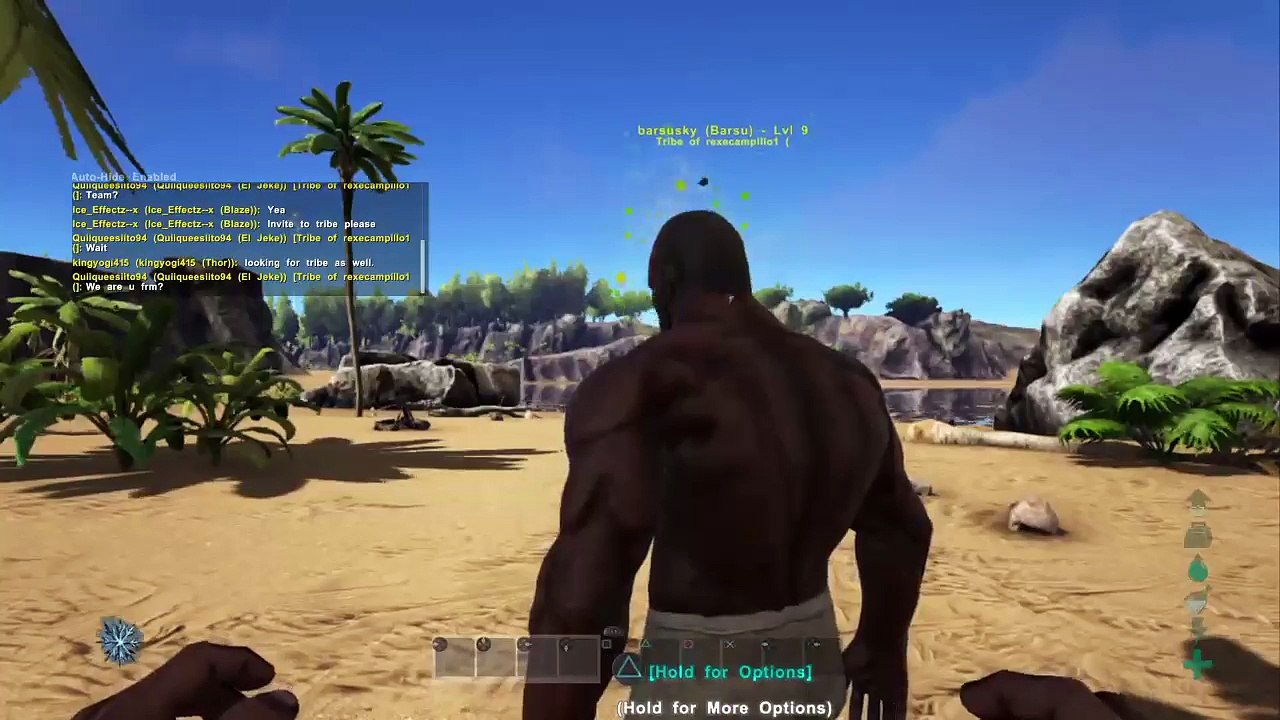 Ark (12)