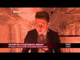 Uyuşturucu tacirleri uyuşturucuyu nasıl yetiştiriyor?