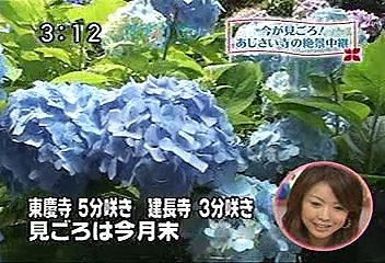 [2000年代バラエティ傑作シリーズ] アナ☆パラ（2008年6月11日 ＯＡ）
