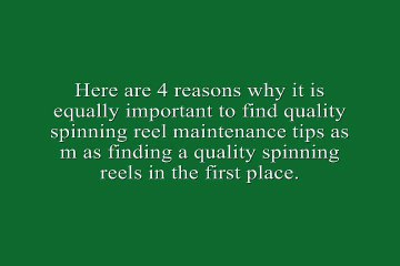 Watch Important Spinning reel maintenance tips
