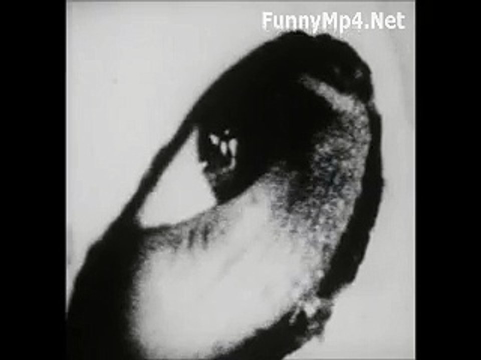 Free_Download_WhatsApp_Video_Brahmarakshas_-_In_Darkness_(Cognition)_Must_Watch