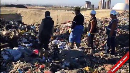 Çöp dağında vahşice öldürülen kadının uzuvları aranıyor