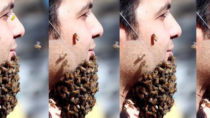 Egyptian Man Grows BEE BEARD! | Weird Asia