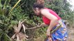 Oh my god !!Amazing girl catch water snake on the tree in rice field - catch water snake in cambodia